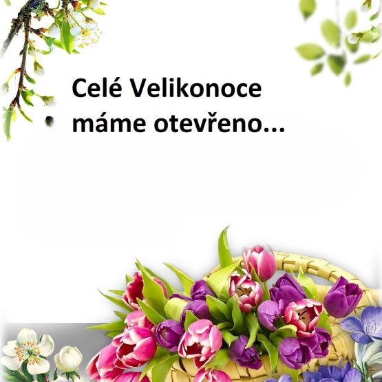 O Velikonocíh máme otevřeno